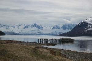 IMG_0004