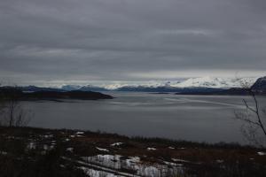 IMG_0136