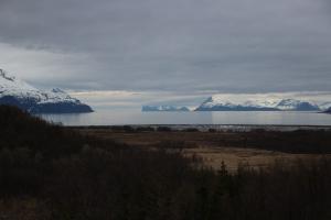 IMG_0155