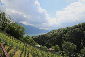 IMG_0638