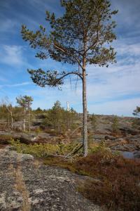 IMG_7870