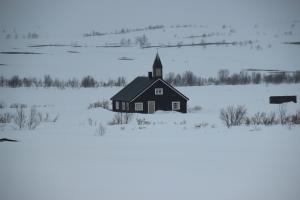 IMG_9015
