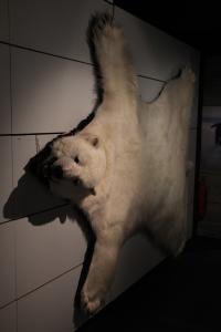 IMG_9601